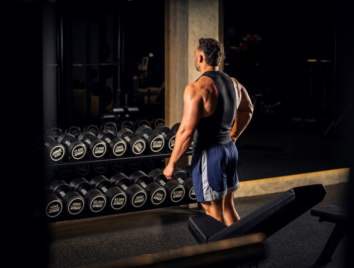 <h1>STRENGTH  IN </h1><h1>LOYALTY</h1>